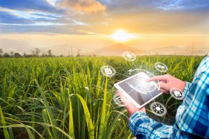 Benefícios da tecnologia no Agro