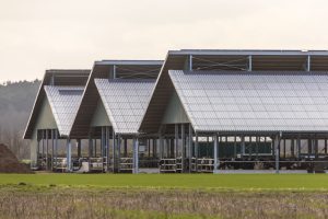 Construindo o galpão ideal para seu agronegócio